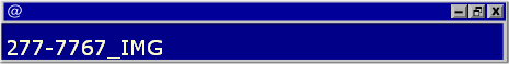 277-7767_IMG