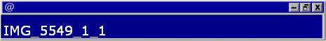 IMG_5549_1_1