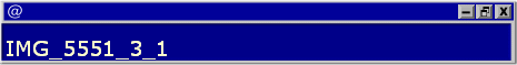 IMG_5551_3_1