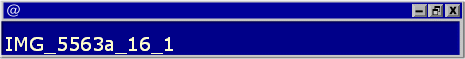 IMG_5563a_16_1