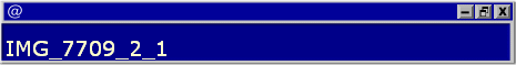 IMG_7709_2_1