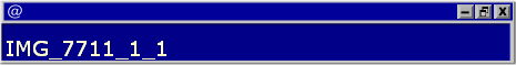 IMG_7711_1_1