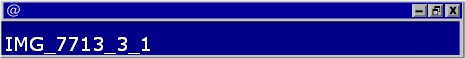 IMG_7713_3_1