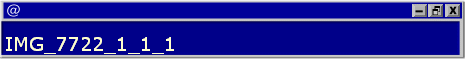 IMG_7722_1_1_1