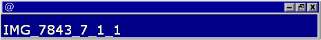 IMG_7843_7_1_1
