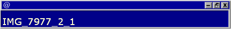 IMG_7977_2_1