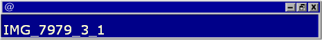IMG_7979_3_1
