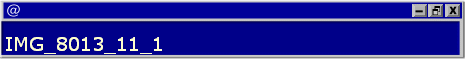 IMG_8013_11_1
