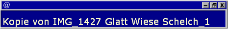 Kopie von IMG_1427 Glatt Wiese Schelch_1