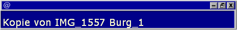 Kopie von IMG_1557 Burg_1