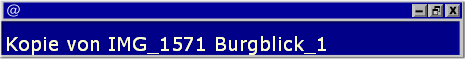 Kopie von IMG_1571 Burgblick_1