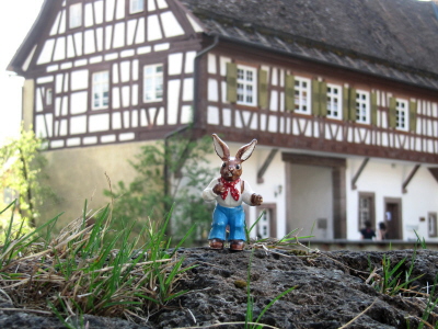 Kopie von IMG_1402 Osterhase_1_1