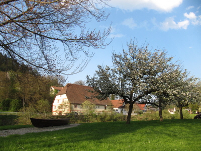 Kopie von IMG_1427 Glatt Wiese Schelch_1