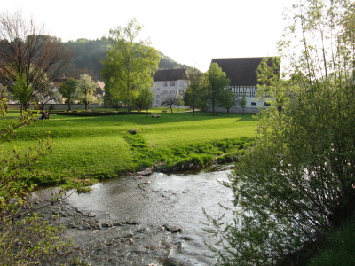 Kopie von IMG_1458 Wiese _1