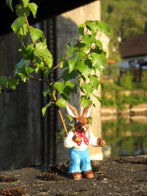 Kopie von IMG_1475 Osterhase Haselnussstrauch_1